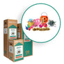 Holiday Decorations - Zero Waste Box™